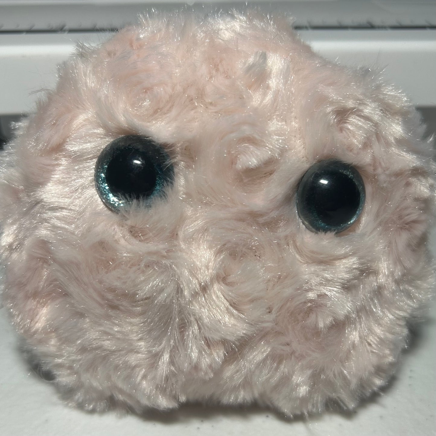Torii - Worry Pet