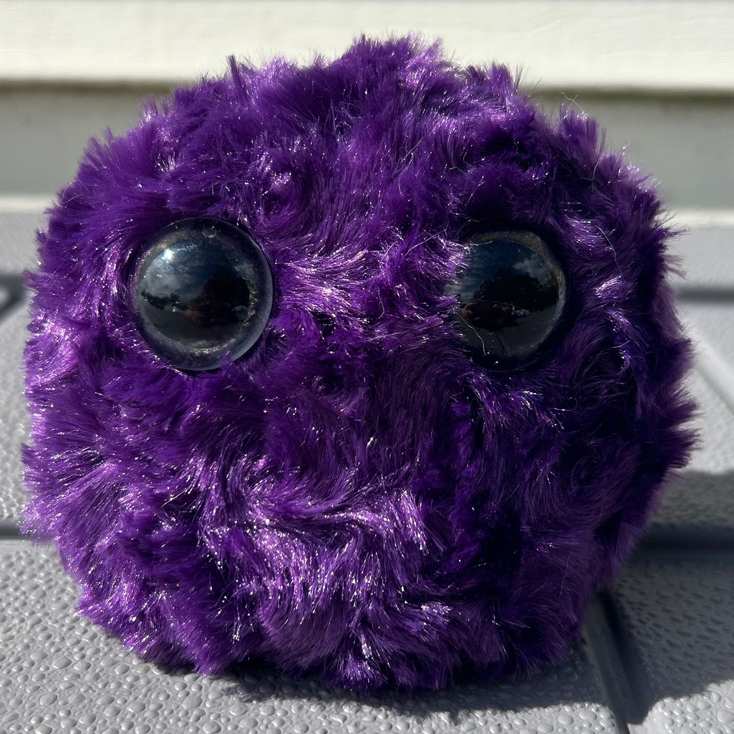 Hadlee - Worry Pet