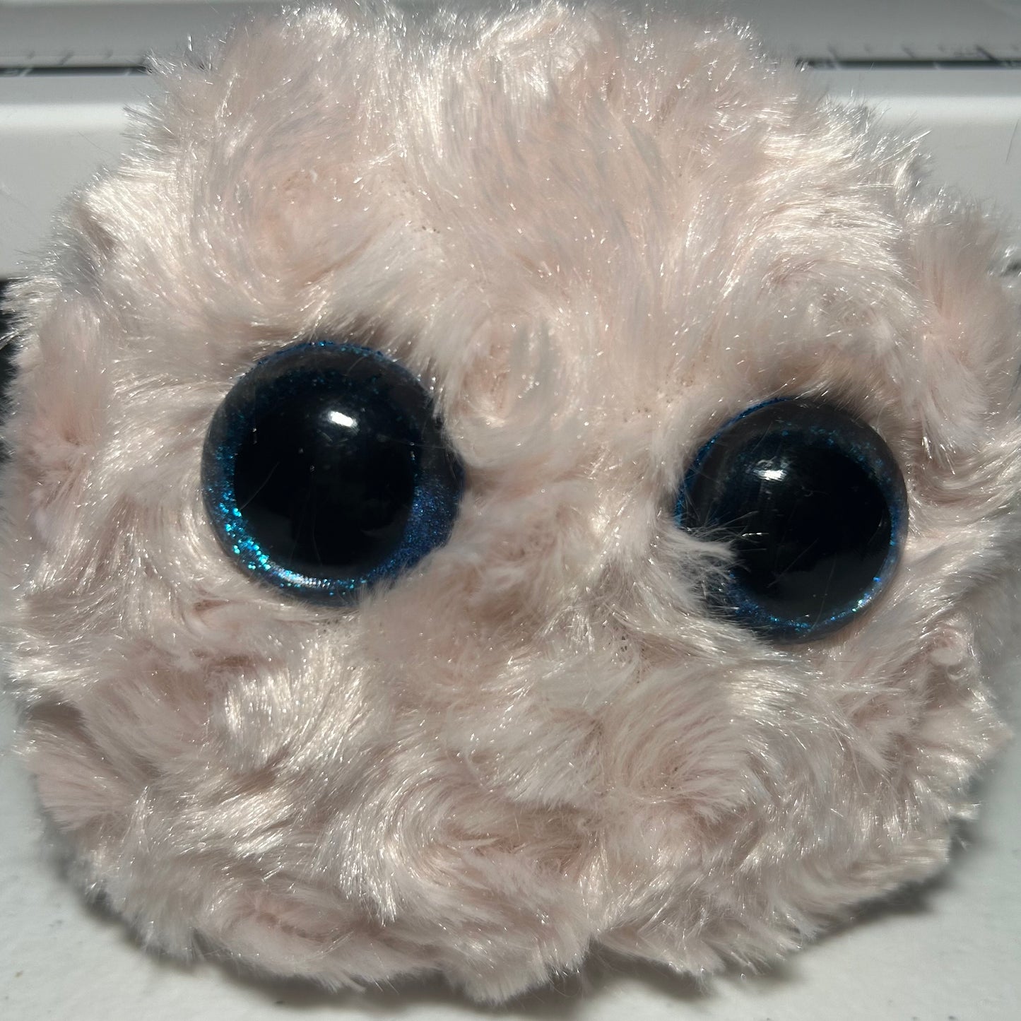Torii - Worry Pet