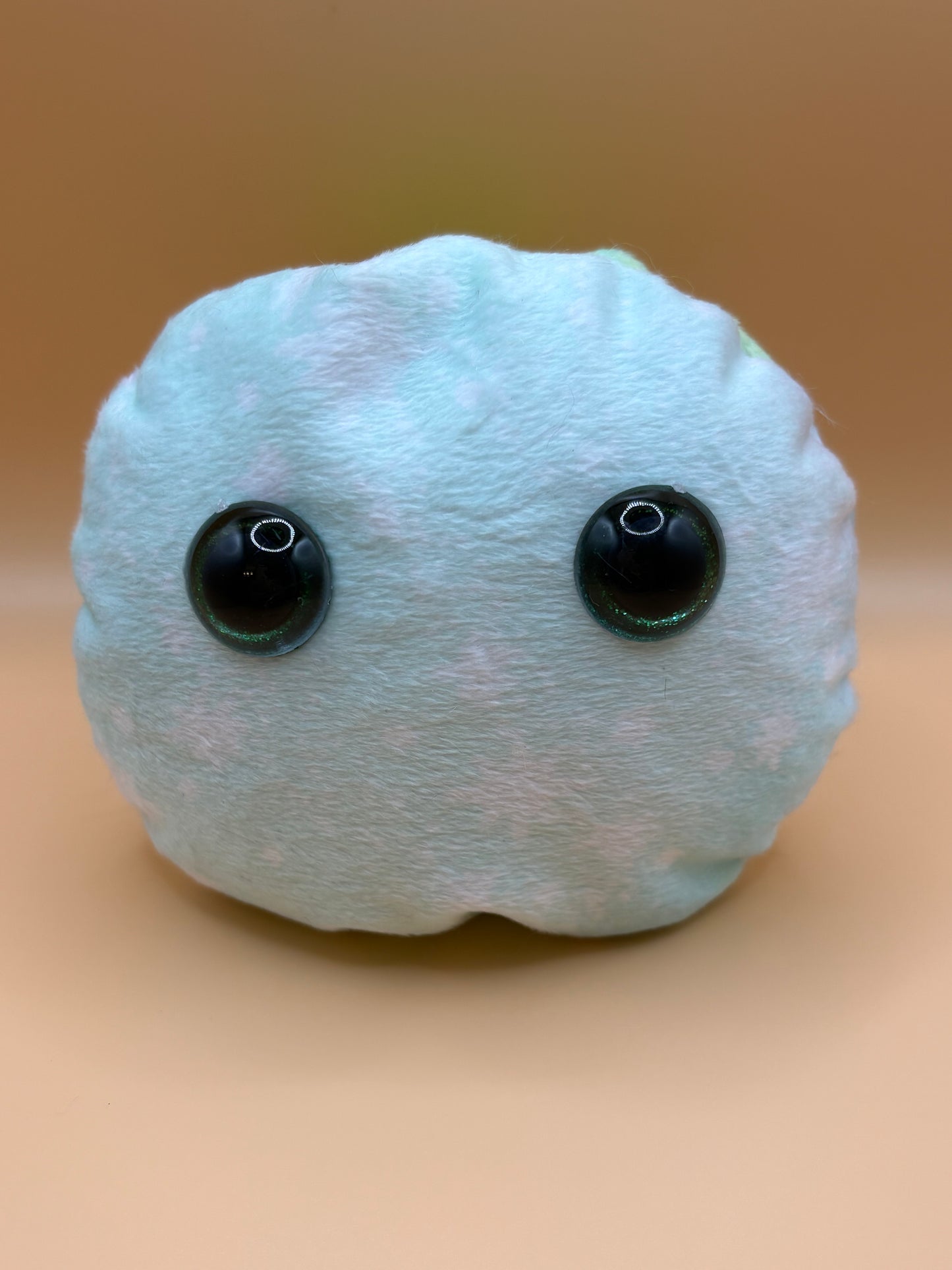 Star Dust - Worry Pet