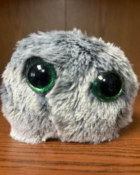 Nashville - Worry Pet