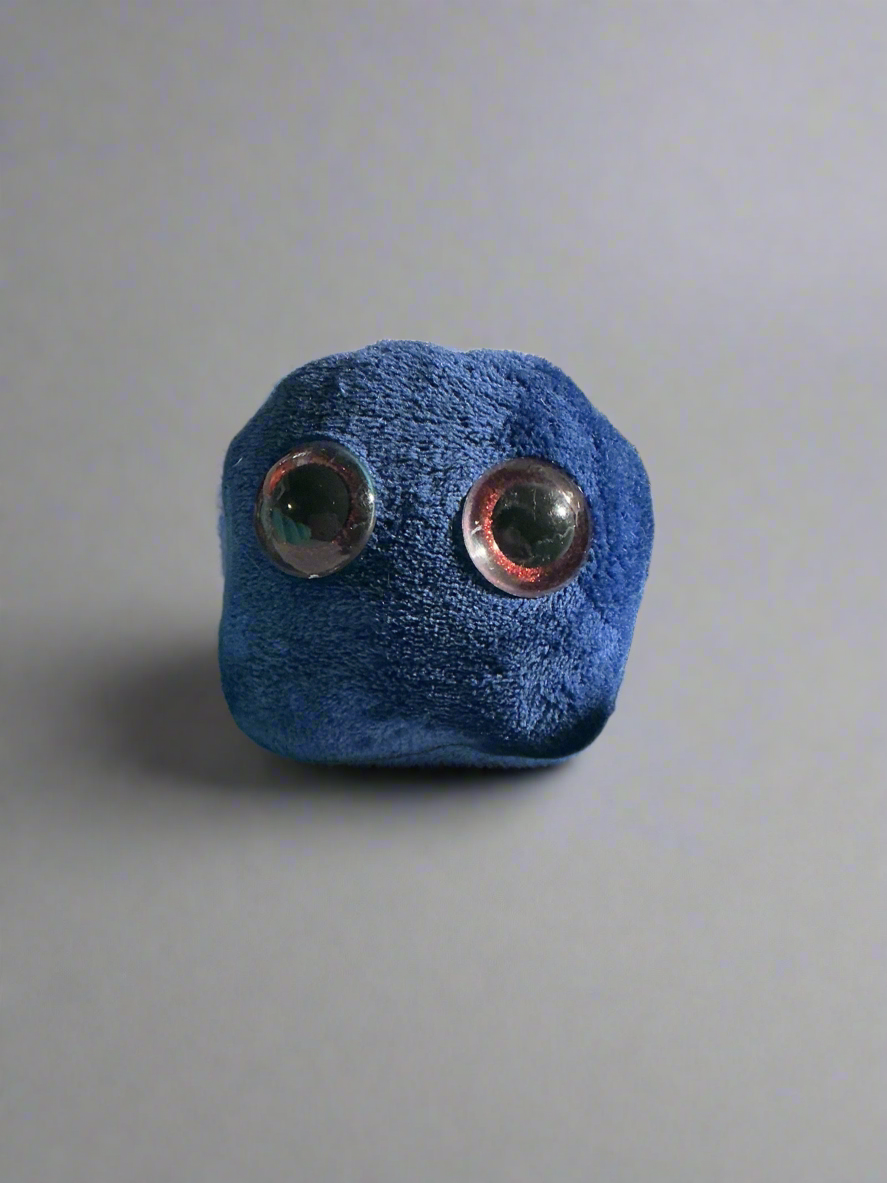 Riley - Worry Pet