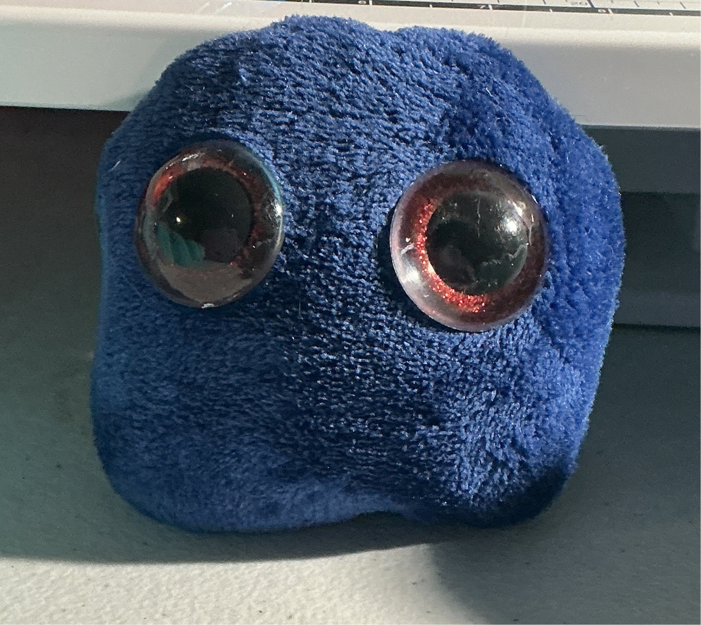 Riley - Worry Pet