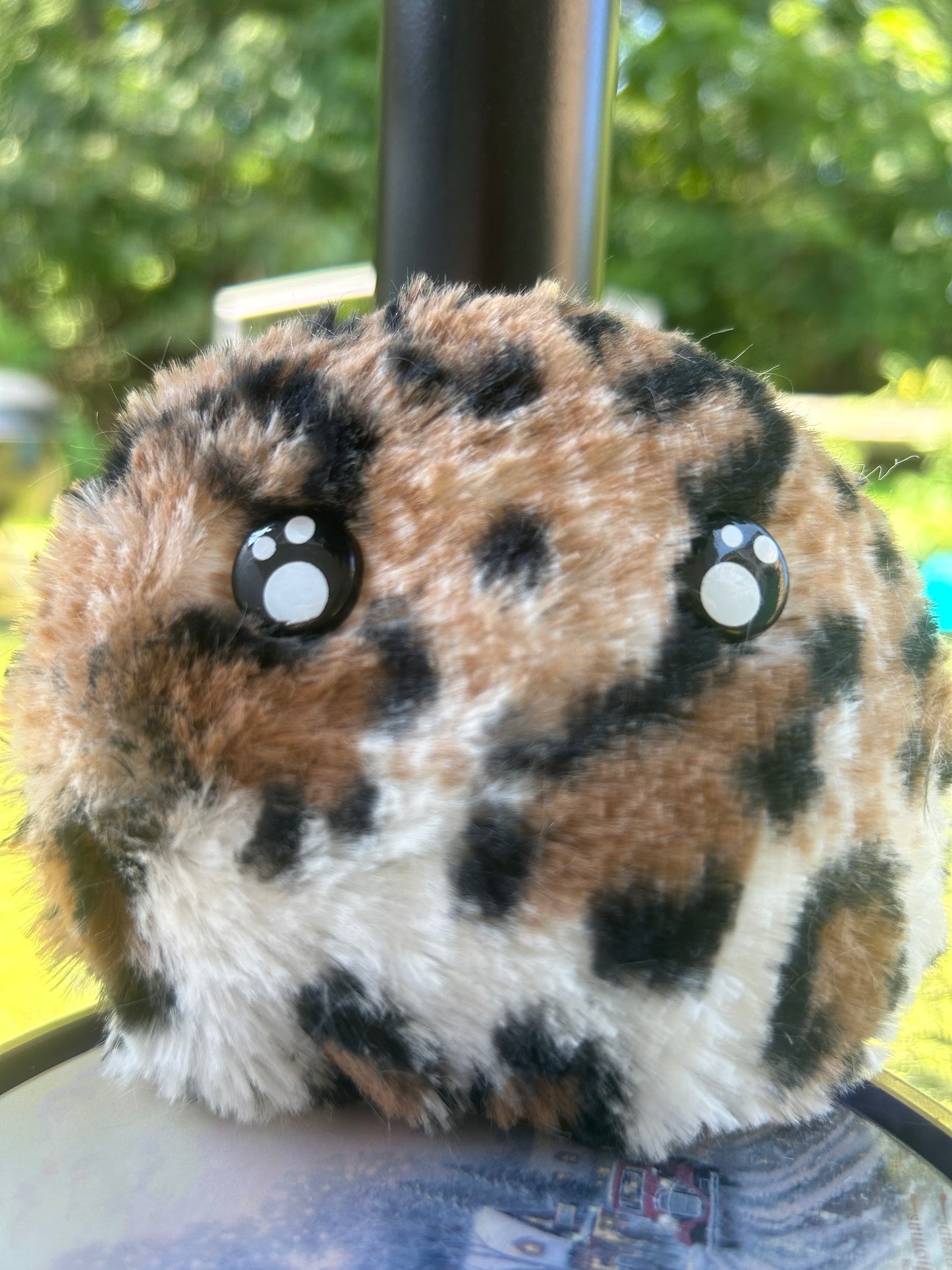 Jeffrey - Worry Pet