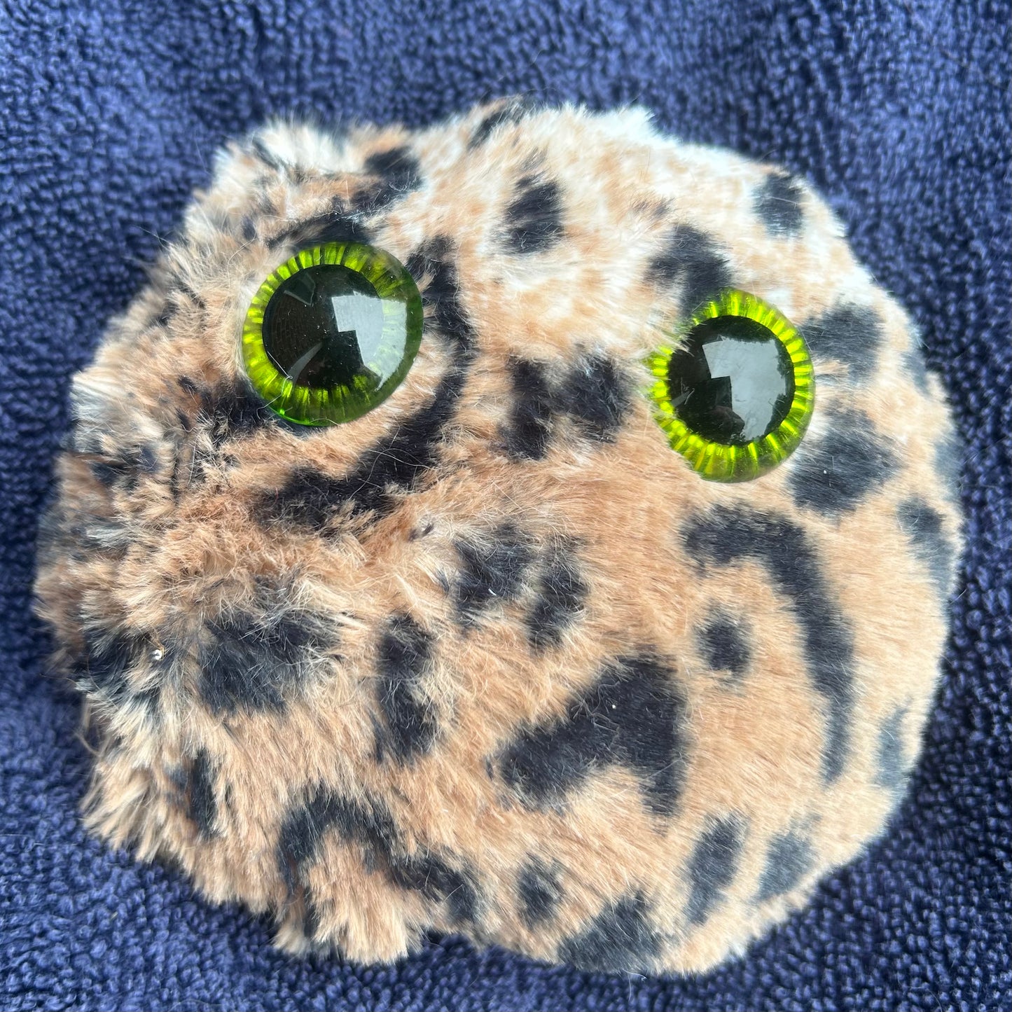 Jeffrey - Worry Pet