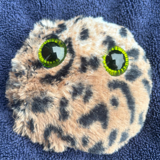 Jeffrey - Worry Pet