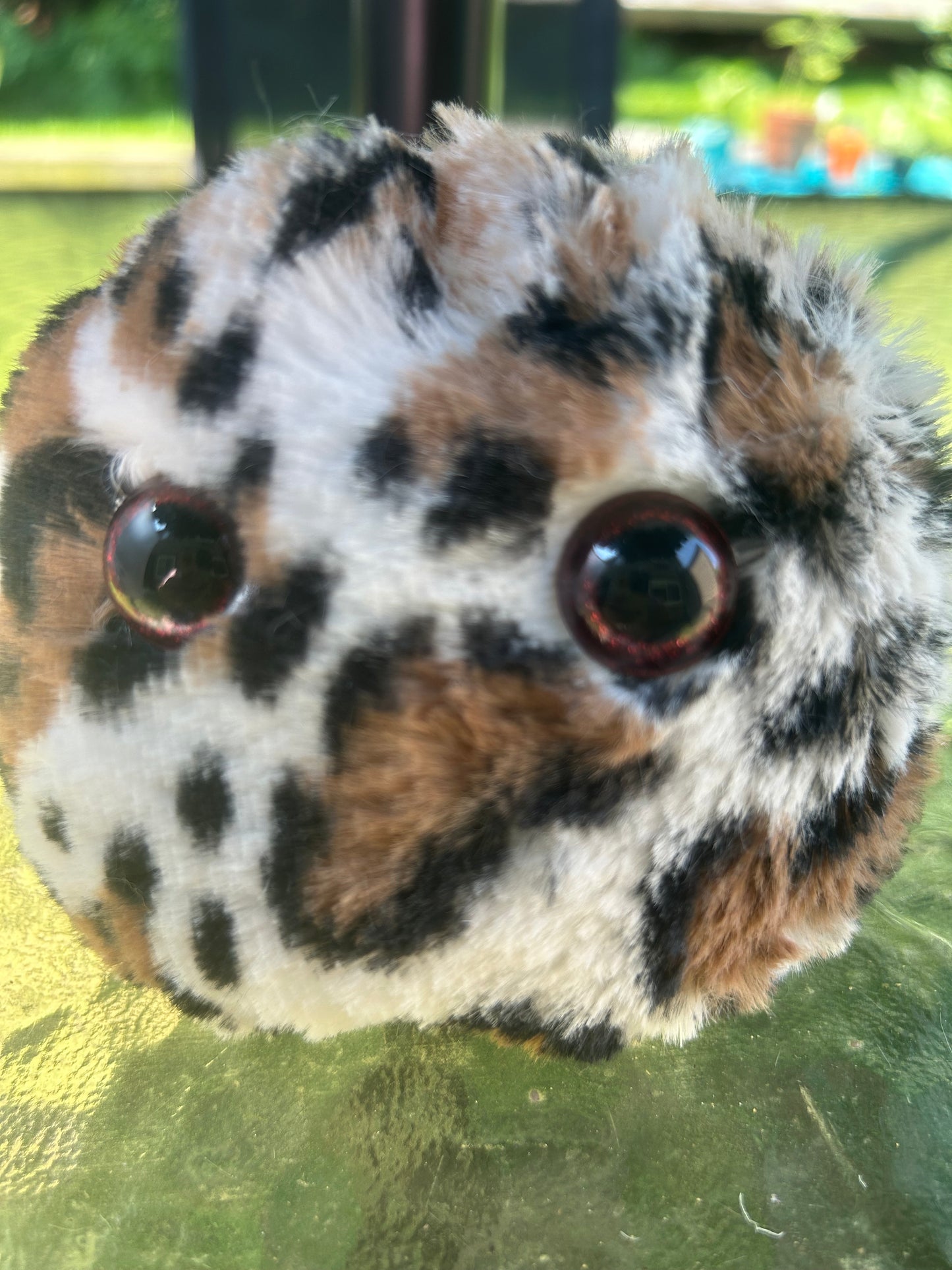 Jeffrey - Worry Pet